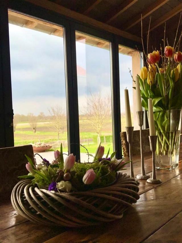B@B Martinushoeve Oudenaarde Dış mekan fotoğraf