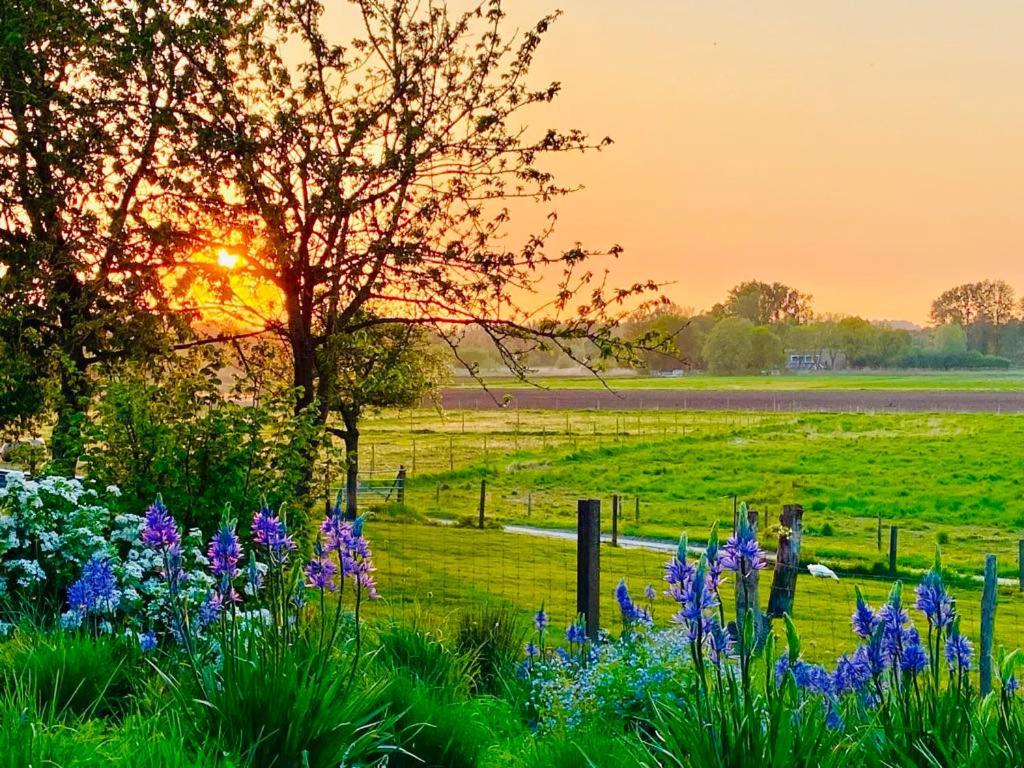 B@B Martinushoeve Oudenaarde Dış mekan fotoğraf